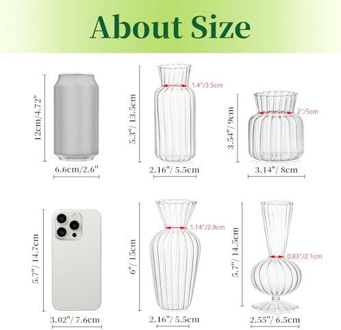 Mini Glass Vases for Centerpieces - Hewory Clear Small Bud Vases in Bulk, Cute Flower Vases Set for Wedding, Home Decoration, Table Decor (Clear, 8) - Image 2