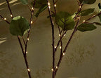 Hairui Lighted Eucalyptus Branches with Timer 24IN 36 LED Battery Operated for Wedding Christmas Party Home Spring Decor (Vase not Included) - Image 5