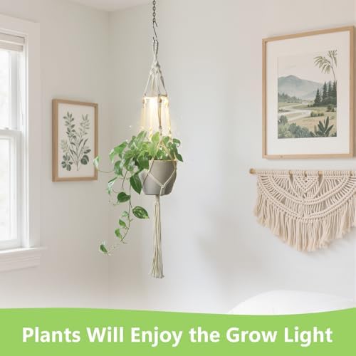Macrame Plant Hangers - Beautiful Plants in Low Light - Image 3