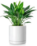 vancasso Ceramic Plant Pots, 8.25 Inch Ceramic Pot for Plants, Planters Pots for Indoor Plants with Drainage Holes, Flower Pot for Indoor House Plant, White by vancasso
