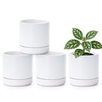 D'vine Dev 4-Pack Ceramic Pots with Saucers, White, 4.7 in, 94-X-B-1 by DvineDevPlanterPotsandStand