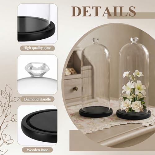 Suclain 2 Pcs 2Pcs 13.8 Inch Tall Glass Cloche Display Dome,Black,Diamond - Image 3