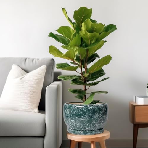 SQOWL 10 Inch Plant Pot - Ceramic Planter for Indoor Plants Outdoor, Large Ceramic Flower Pot with Drainage Hole and Saucer, Decorative Round Planter, Living Room Decor, Gifts for Women Men, Green - Image 2