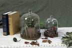 12" Tall Large Sturdy Handmade Glass Cloche Dome with Metal Base 11.4" H x 8" and 8" H x 5.5" in Set of 2 in Gold for Plant, Terrarium, Collectibles, Candle. Cloche Glass Dome, Bell Jar Display Case - Image 5