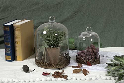 12" Tall Large Sturdy Handmade Glass Cloche Dome with Metal Base 11.4" H x 8" and 8" H x 5.5" in Set of 2 in Gold for Plant, Terrarium, Collectibles, Candle. Cloche Glass Dome, Bell Jar Display Case - Image 5