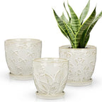 Hollyone Set of 3 White Ceramic Planter 6 Inch Flower Plant Pot with Drainage Hole and Saucer for Plants Embossed Indoor Outdoor Garden Embossed Ceramic Glazed Round Pot for Succulent Orchid by Hollyone