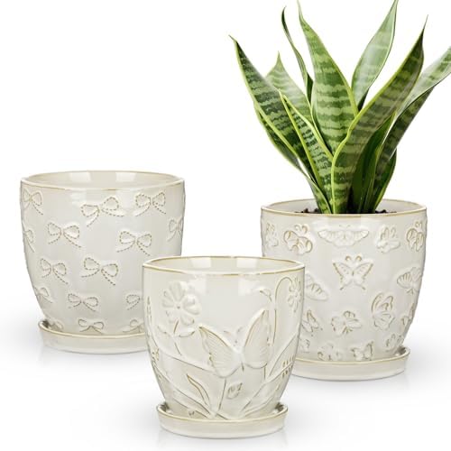 Hollyone Set of 3 White Ceramic Planter 6 Inch Flower Plant Pot with Drainage Hole and Saucer for Plants Embossed Indoor Outdoor Garden Embossed Ceramic Glazed Round Pot for Succulent Orchid by Hollyone