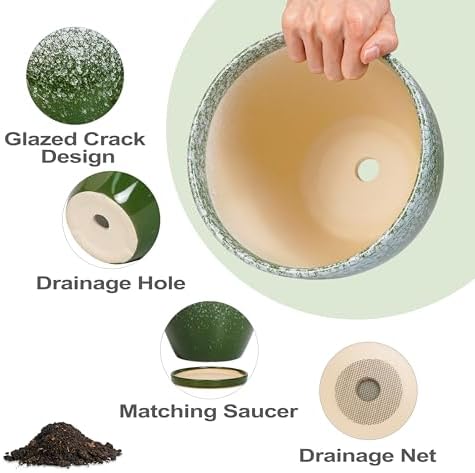 10 Inch Plant Pot - Ceramic Planters for Indoor Plants Outdoor, Large Planter with Drainage Hole and Saucer, Decorative Round Flower Pots, Garden House Decor, Gifts for Plant Lovers, Green - Image 6