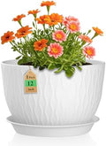 WSMKSZ 12 Inch Large Plant Pots for Indoor or Outdoor Plants, Wide Water Ripples Flower Pots with Drainage Holes & Saucer, Plastic Planters Set for Garden & Home Decor (White) by WSMKSZ