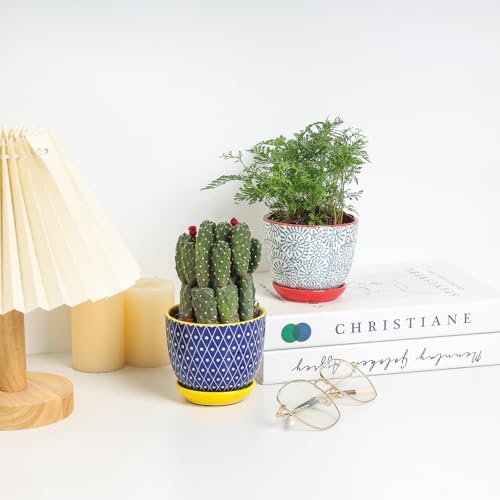 Selamica Ceramic Succulent Pots, 4.6 Inch Small Plant Pots with Drainage Holes & Saucers, Succulent Planters for Indoor Plants Cactus, Home Decor, Set of 6, Assorted Colors - Image 4