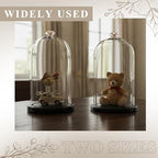 Suclain 2 Pcs 6 x 10 Inch Cloche Glass Dome with Base Bell Jar, Black - Image 7