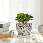 Ceramic Plant Pots With Saucer & Drainage Hole, 10 inch Indoor Flower Pots - Image 7