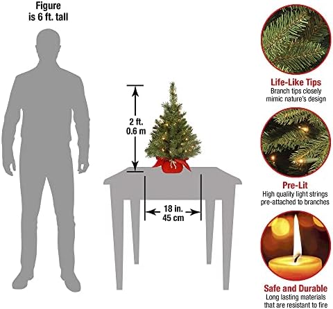 National Tree Company Pre-lit Artificial Mini Christmas Tree | Includes Small Lights and Cloth Bag Base | Majestic Fir - 2 ft - Image 4