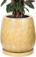 10.3 Inch Ceramic Glaze Plant Pot with Saucer, Flower Pots with Drainage Hole Mesh Net (Brown-Yellow) by Unknown