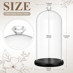 Suclain 2 Pcs 6 x 10 Inch Cloche Glass Dome with Base Bell Jar, Black - Image 2