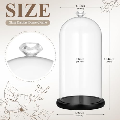 Suclain 2 Pcs 6 x 10 Inch Cloche Glass Dome with Base Bell Jar, Black - Image 2