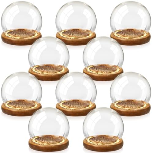 Funtery 10 Pcs 3.94 Inch Christmas Glass Display Dome Cloche Glass Globe by Funtery