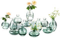 Glasseam Glass Bud Vase for Centerpieces: 12Pcs Green Mini Small Vases Bulk by Glasseam