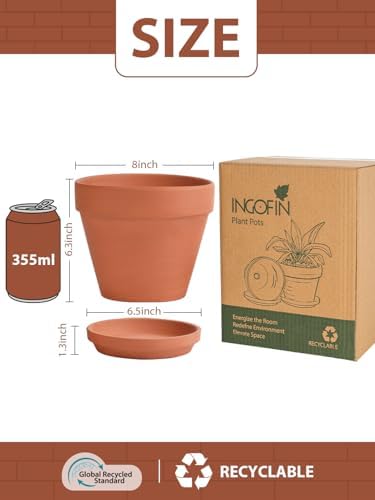 INGOFIN Terracotta Pots Set with Saucer - 2-Pack Ceramic Clay Planters with Drainage Hole, Garden Flower Succulent Pots with Tray for Indoor Outdoor Plants, 8 inch, Set of 2 - Image 2