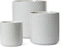 LE TAUCI 10+8+6 Inch Ceramic Pots for Plants, Indoor Planters with Drainage Hole and Plug, Raised Dots Cylinder Flower Pots Set of 3 for Office and Living Room, Glossy, Star Gray by LETAUCI