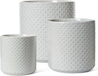 LE TAUCI 10+8+6 Inch Ceramic Pots for Plants, Indoor Planters with Drainage Hole and Plug, Raised Dots Cylinder Flower Pots Set of 3 for Office and Living Room, Glossy, Star Gray by LETAUCI