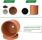 D'vine Dev 3-Pack Classic Terracotta Pots & Saucers, 6/8/10 in, 40-T-C-0 - Image 4