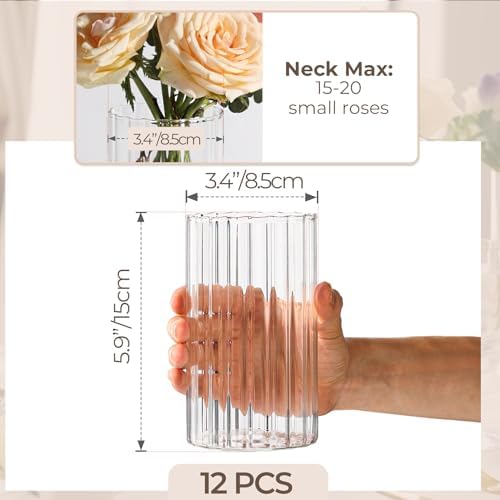 ComSaf Glass Cylinder Vases 12 Pcs 6 Inch Tall, Clear Ribbed Bud Vases - Image 3