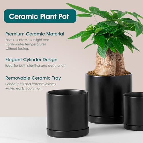 vancasso Ceramic Plant Pots, 3 Piece Planters for Indoor Plants, Black - Image 4