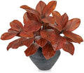 Briful Artificial Magnolia Leaves Stems 3 Pack 22in Orange Fake Magnolia Branches for Vase Fall Leaves Stems for Home Room Arrangements Centerpieces Thanksgiving Décor (Vase Not Included) by Briful
