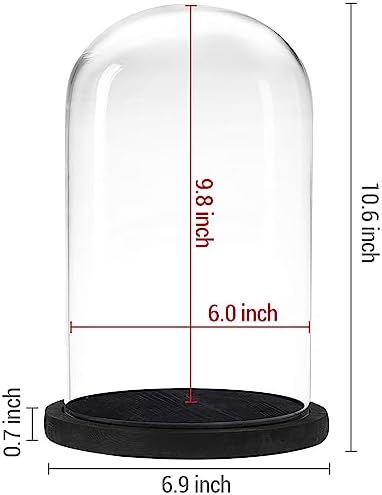 MyGift Bell Jar Glass Cloche Black Wood Base 10 Inch Display Dome - Image 2