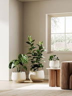LE TAUCI Ceramic Plant Pots, 10 + 12 Inch, Set of 2, Reactive Glaze Beige - Image 6