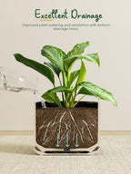 LE TAUCI 10 + 12 Inch Ceramic Plant Pots, Set of 2, Black - Image 5