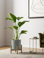 LE TAUCI 10+8+6 Inch Ceramic Pots for Plants, Indoor Planters with Drainage Hole and Plug, Modern Cylinder Flower Pots Set of 3 for Living Room and Bedroom, Glossy, Mist Gray - Image 5