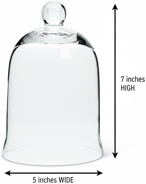 Abbott Collection 27-Carolyn Bell Shaped Glass Cloche, Clear (7" H) - Image 5