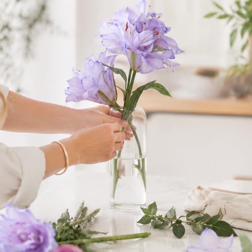 Glass Bud Vases, Set of 24 Clear Small Flower Vases in Bulk 3 Sizes - Image 7