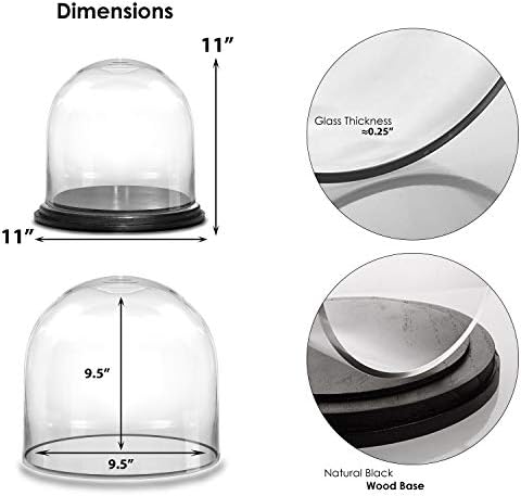 CYS EXCEL Glass Cloche Dome with Black Wood Base (H:11" D:11") | Multiple Size Choices Decorative Showcase Display for Antique Collectibles | Bell Jar Terrarium & Dessert Cover - Image 5