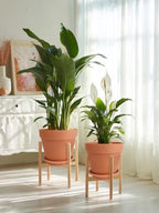 INGOFIN Terracotta Pot Set of 2 with Saucer - 10 Inch Ceramic Clay Pot for Plants with Drainage Hole, Large Terra Cotta Flower Planter with Tray for Indoor Outdoor Plants - Image 7