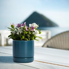 D'vine Dev 4-Pack Ceramic Pots with Saucers, Teal, 4.7 in, 94-X-B-9 - Image 7