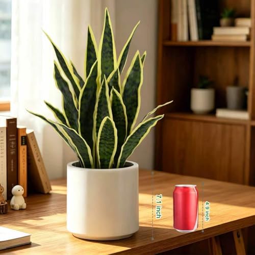 Fake Snake Plant 22" Tall, Realistic Touch Leaves, Potted Artificial Plants Indoor for Home Decor Small Office Home Living Room-Yellow - Image 6
