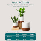 vancasso Ceramic Pots for Plants, Plant Pots for Indoor Plants, 6.25+8.25+10.25 Inch Ceramic Planters, Flower Pots with Drainage Holes, Planters Pot for Indoor House Plant, Set of 3, Khaki - Image 2