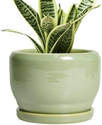 SQOWL Ceramic Pot for Plants - 6 Inch Planter for Indoor Outdoor Plants, Round Decorative Flower Pot with Drainage Hole and Saucer, Modern Small Planter, Patio Decor, Garden Gifts, Green by SQOWL