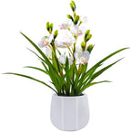Fake Orchid Plant 19" Tall, Realistic Touch Leaves, Potted Cymbidium Artificial Plants Indoor for Home Decor Small Office Home Living Room-White by Unknown