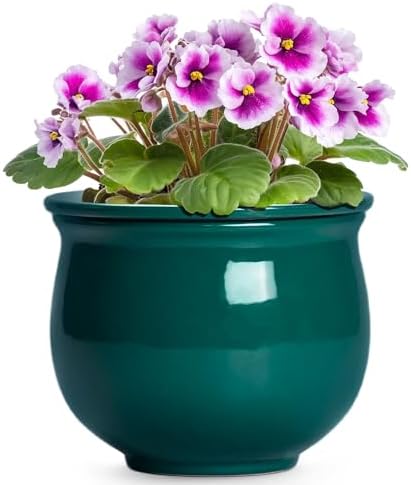 6 Inch Self Watering Plant Pots, Ceramic African Violet Pot with Absorbent Inner Pot, Easy Self Watering Pots for Indoor Plants, Ceramic Planter, Room Decor, Plant Lover Gifts, Blackish Green by Teagas