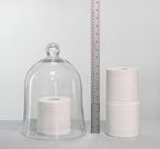 CYS EXCEL Glass Bell Dome Cloche (H:12" W:8.5") | Multiple Size Choices Enchanted Rose Glass Cover | Cake Dessert Display | Terrarium Jar Plant Cover - Image 5