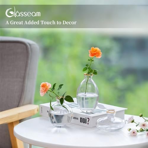 Glasseam Glass Bud Vase for Centerpieces: 12Pcs Clear Mini Small Vases Bulk - Image 6