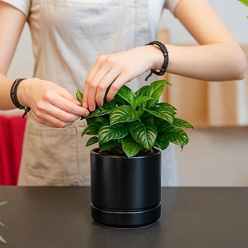 D'vine Dev 4-Pack Ceramic Pots with Saucers, Black, 4.7 in, 94-X-B-2 - Image 7