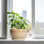 SQOWL Ceramic Plant Pot - 10 Inch Large Planter with Drainage Hole and Saucer, Round Modern Planter for Indoor Plant Outdoor, Decorative Ceramic Flower Pot, Porch Decor, Garden Gift for Women, Yellow - Image 4