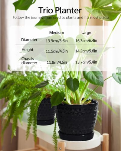 Plant Pots, Flower Pots, Planters for Indoor Plants(6.5+5.5inch), Flower Pots for Indoor Plant with Drainage Hole and Saucer, Ceramic Pots for Plants with Hole Mesh Pad, Black - Image 3