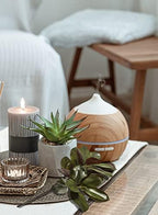 Serene Spaces Living 32in Tall Artificial Magnolia Leaves Spray, Ideal to Hang at Wedding, Store Display, Window Sill, Fall Decor, Perfect Holiday Décor - Image 2
