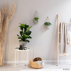 Kazai. Wall Planters -Ellie- | Hanging Ceramic Plant Pots 2 Pieces | Wall Decoration for Indoors, Balcony and Garden | Light Gray (Matte) - Image 7